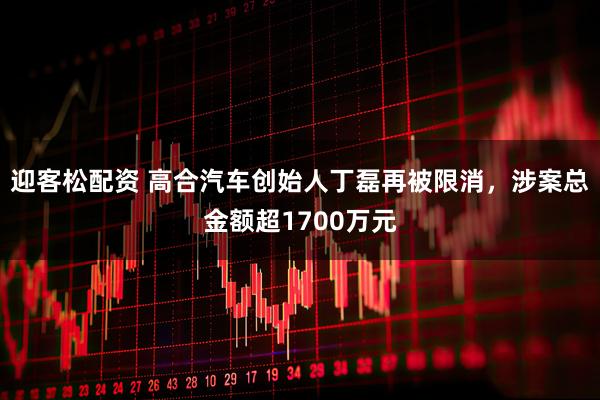 迎客松配资 高合汽车创始人丁磊再被限消，涉案总金额超1700万元