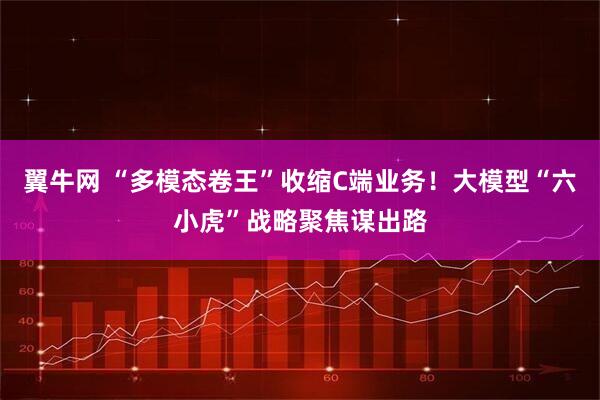 翼牛网 “多模态卷王”收缩C端业务！大模型“六小虎”战略聚焦谋出路